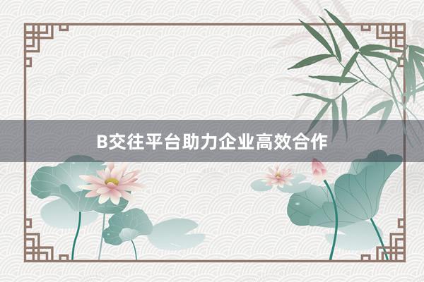 B交往平台助力企业高效合作